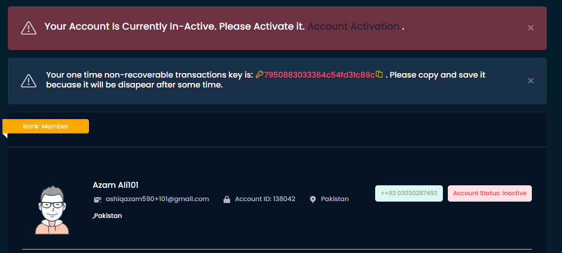 SEO and Marketing Campaign